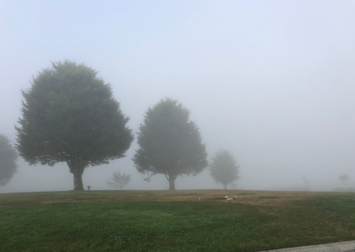 Skylawn9